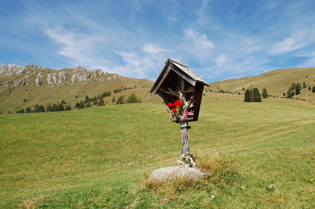Cimon Dolomites Hotel Predazzo Dış mekan fotoğraf