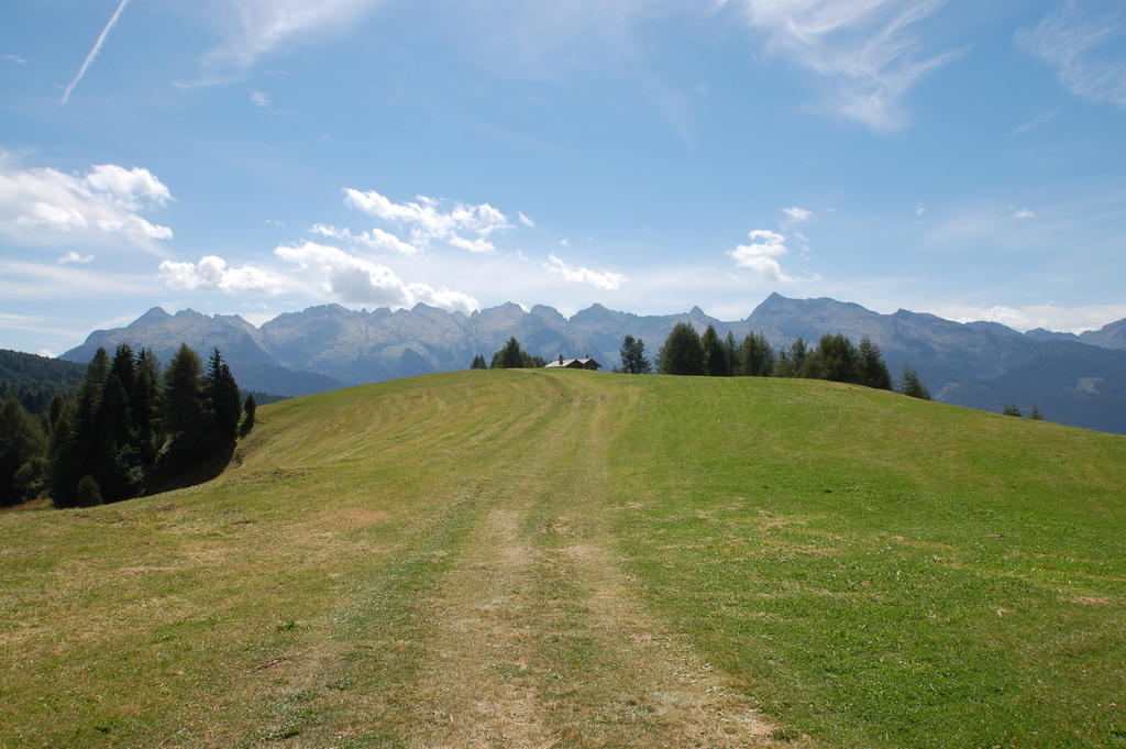 Cimon Dolomites Hotel Predazzo Dış mekan fotoğraf