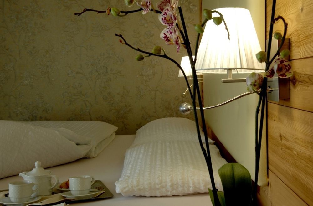 Cimon Dolomites Hotel Predazzo Dış mekan fotoğraf