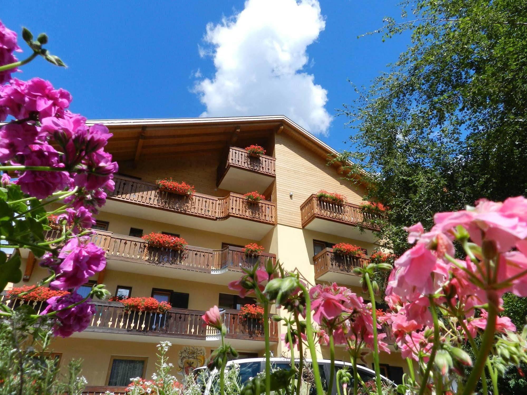 Cimon Dolomites Hotel Predazzo Dış mekan fotoğraf
