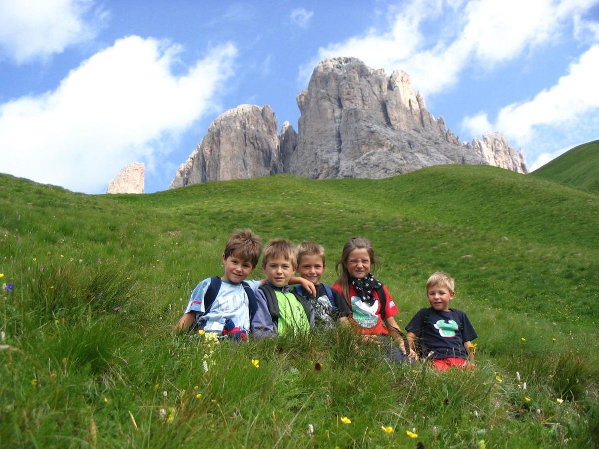 Cimon Dolomites Hotel Predazzo Dış mekan fotoğraf