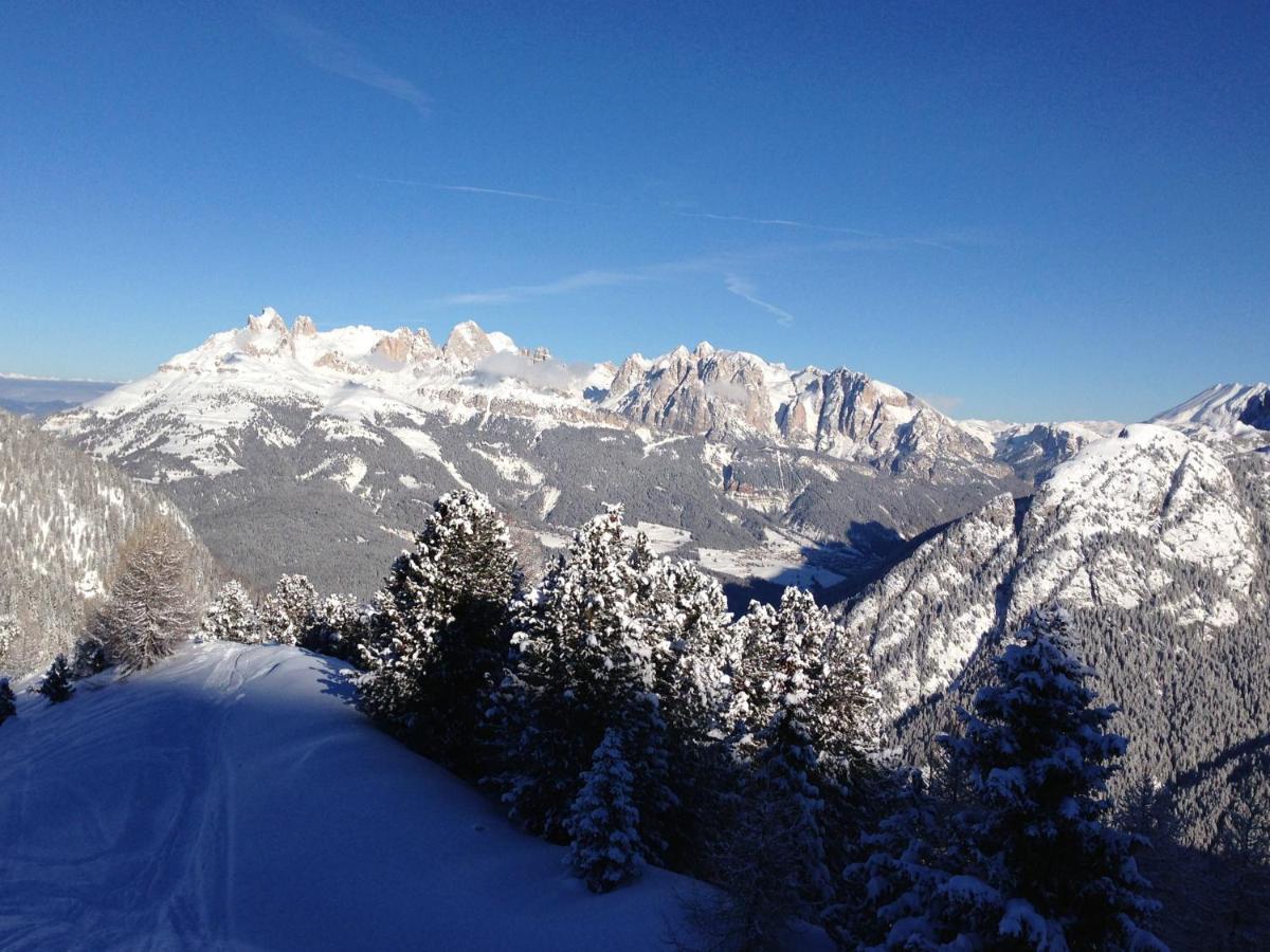 Cimon Dolomites Hotel Predazzo Dış mekan fotoğraf